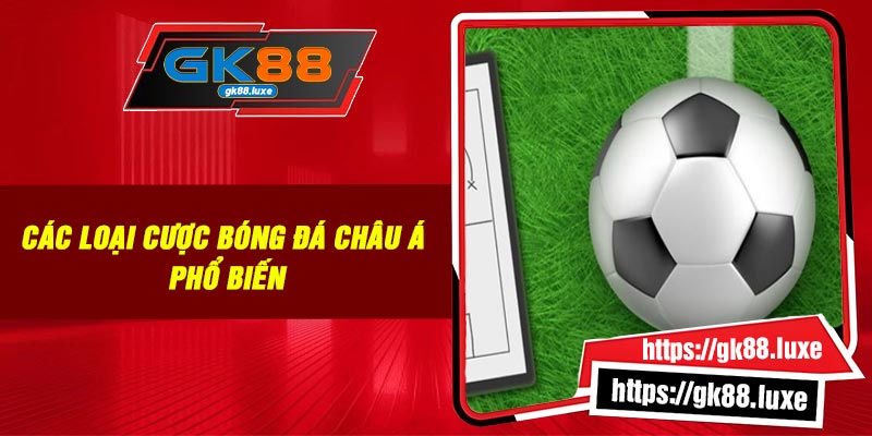 Các loại cược bóng đá Châu Á phổ biến