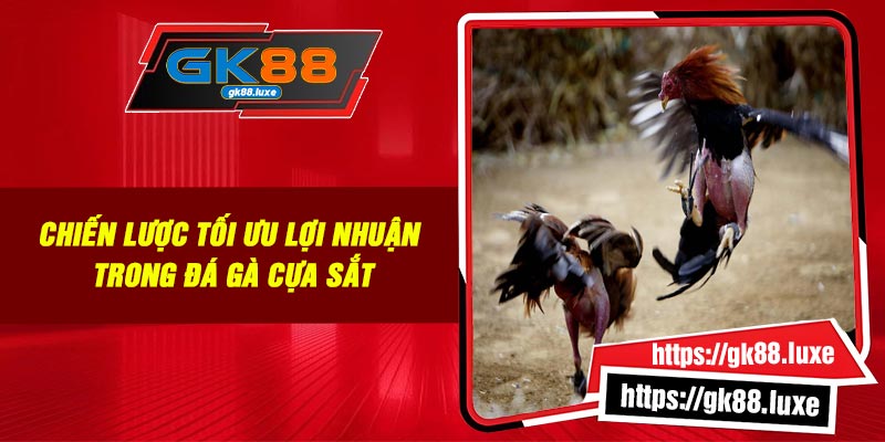 Chiến lược tối ưu lợi nhuận trong đá gà cựa sắt