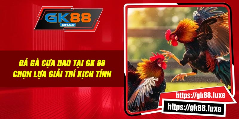 Đá Gà Cựa Dao Tại GK 88: Chọn lựa Giải Trí Kịch Tính