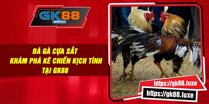 Đá Gà Cựa Sắt: Khám Phá Kê Chiến Kịch Tính Tại GK88