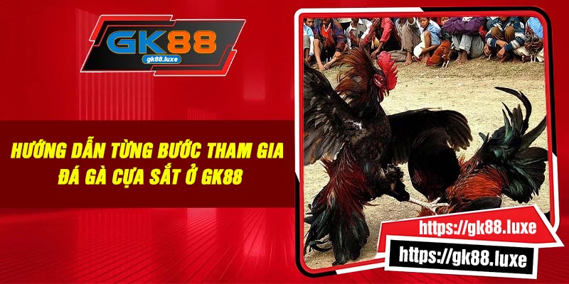 Hướng dẫn từng bước tham gia đá gà cựa sắt ở GK88