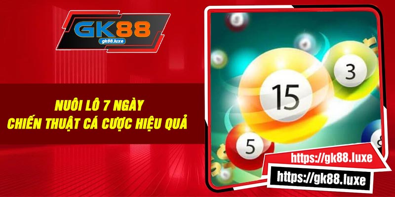 Nuôi Lô 7 Ngày: Chiến Thuật Cá Cược Hiệu Quả