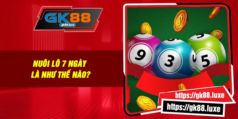 Nuôi lô 7 ngày là như thế nào?