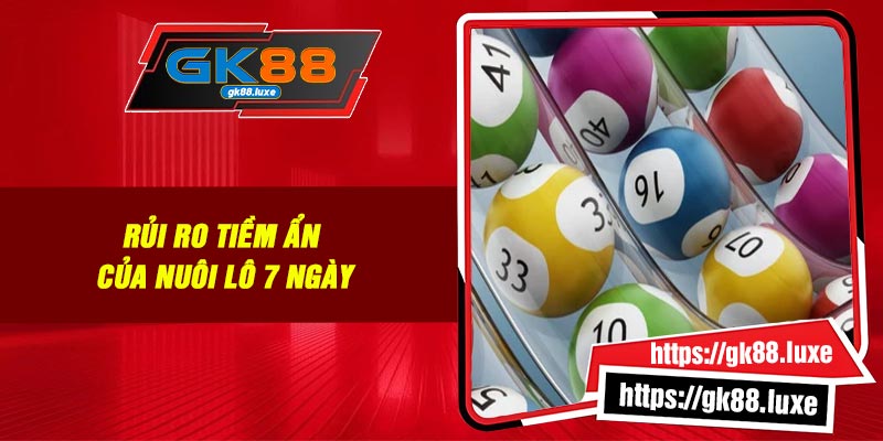 Rủi ro tiềm ẩn của nuôi lô 7 ngày
